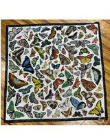 "Butterflies" XOXO Shorty Silk Scarf