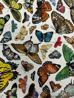 "Butterflies" XOXO Shorty Silk Scarf